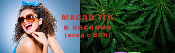 твердый Вяземский