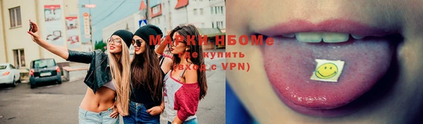 твердый Вяземский