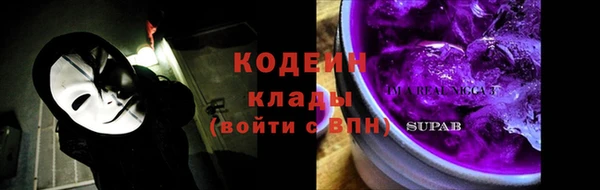 твердый Вяземский