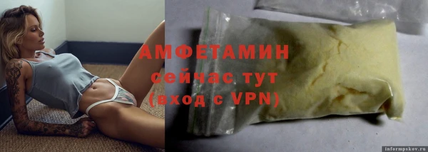 твердый Вяземский