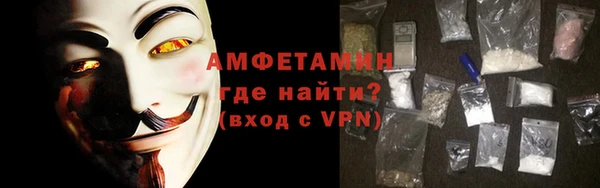 твердый Вяземский
