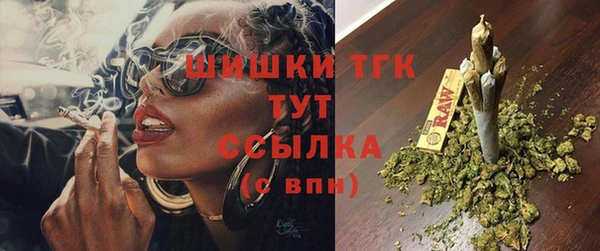 твердый Вяземский