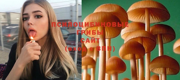 мяу мяу мука Вязники