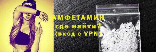 твердый Вяземский