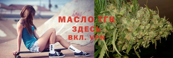 твердый Вяземский