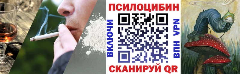 Галлюциногенные грибы прущие грибы  купить закладку  Орехово-Зуево 
